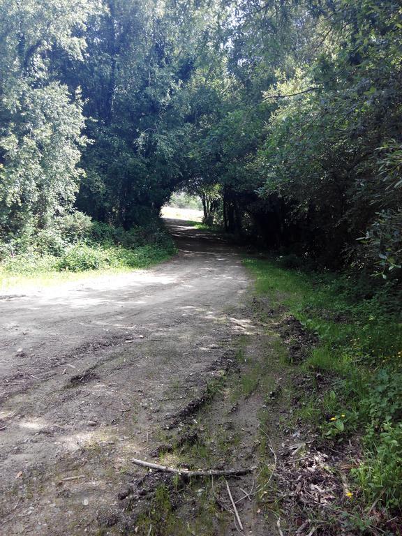 Pension Vilanova Sigueiro Bagian luar foto